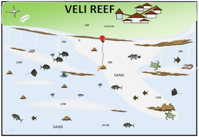 Veli Reef